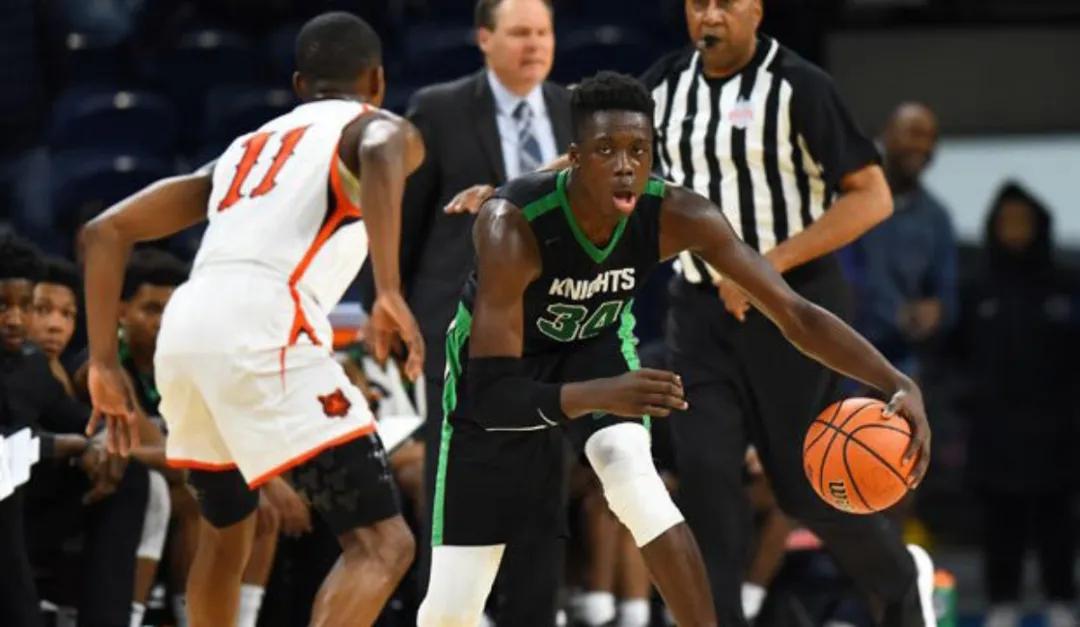 拿下雄鹿总冠军字母哥阿德托昆博,扬尼斯阿德托昆博字母哥fmvp