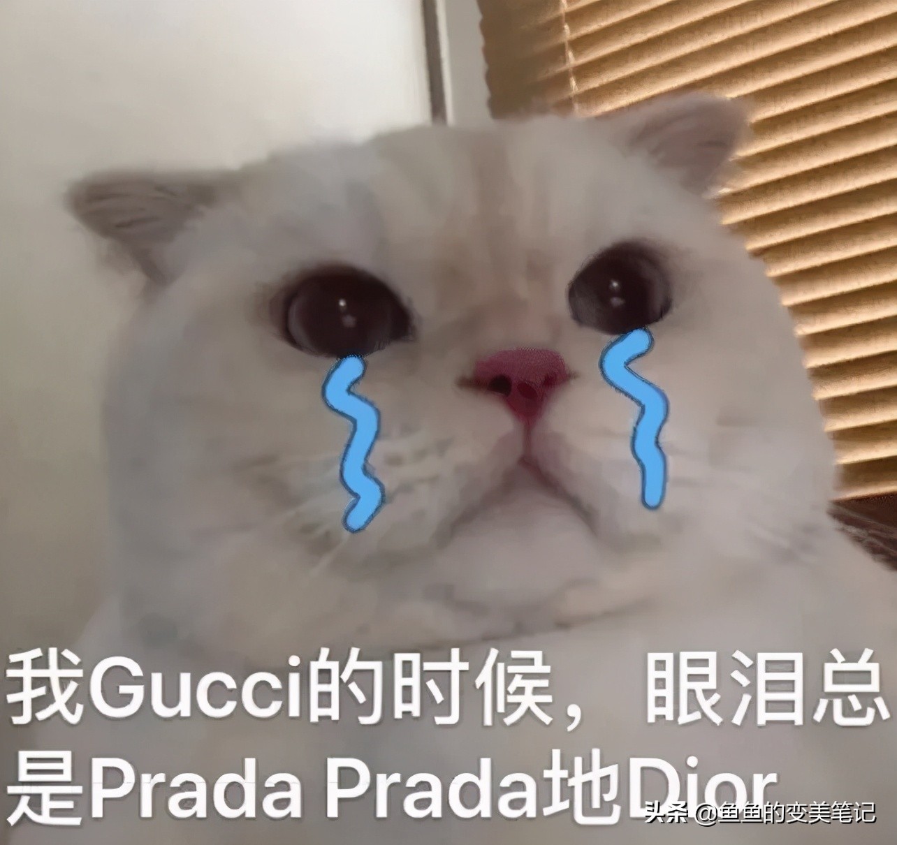 网红去黑头护肤品,护肤品国货老牌子去黑头