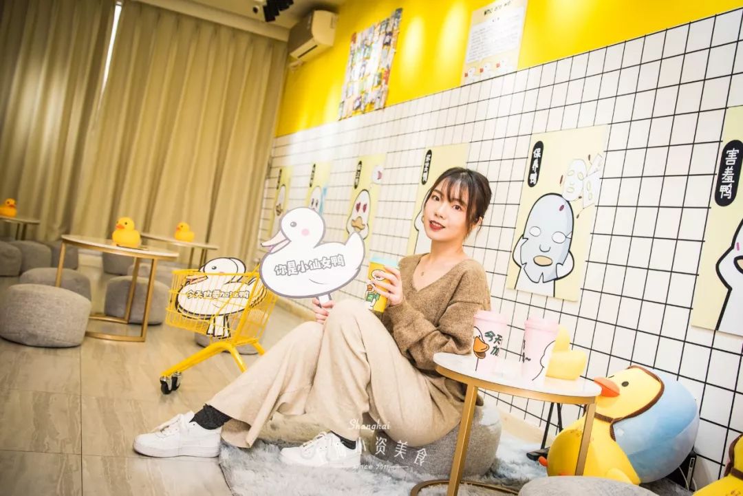 2019宠物排名,2022宠物排行榜