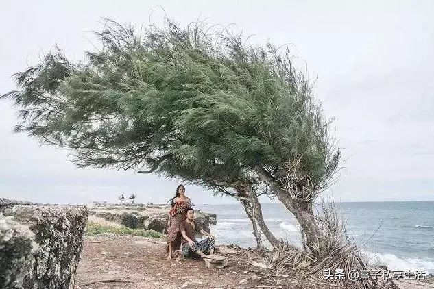 环游世界夫妻赚了十个亿,情侣环游世界视频