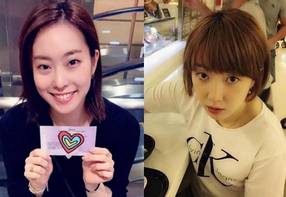 乒乓球运动员徐孝元,乒乓球徐孝元视频