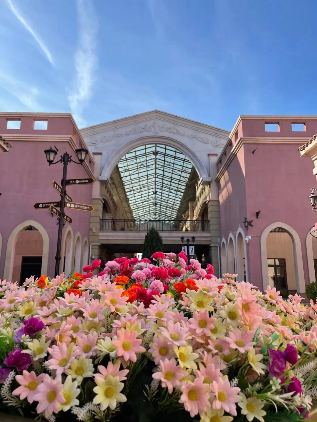 天津空港七彩花田几月去最好,空港七彩花田坐几路公交车去
