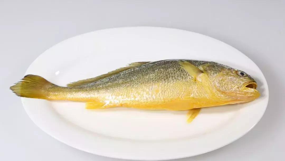 开捕啦3：黄鱼金灿灿，大黄鱼小黄鱼你爱哪一款？