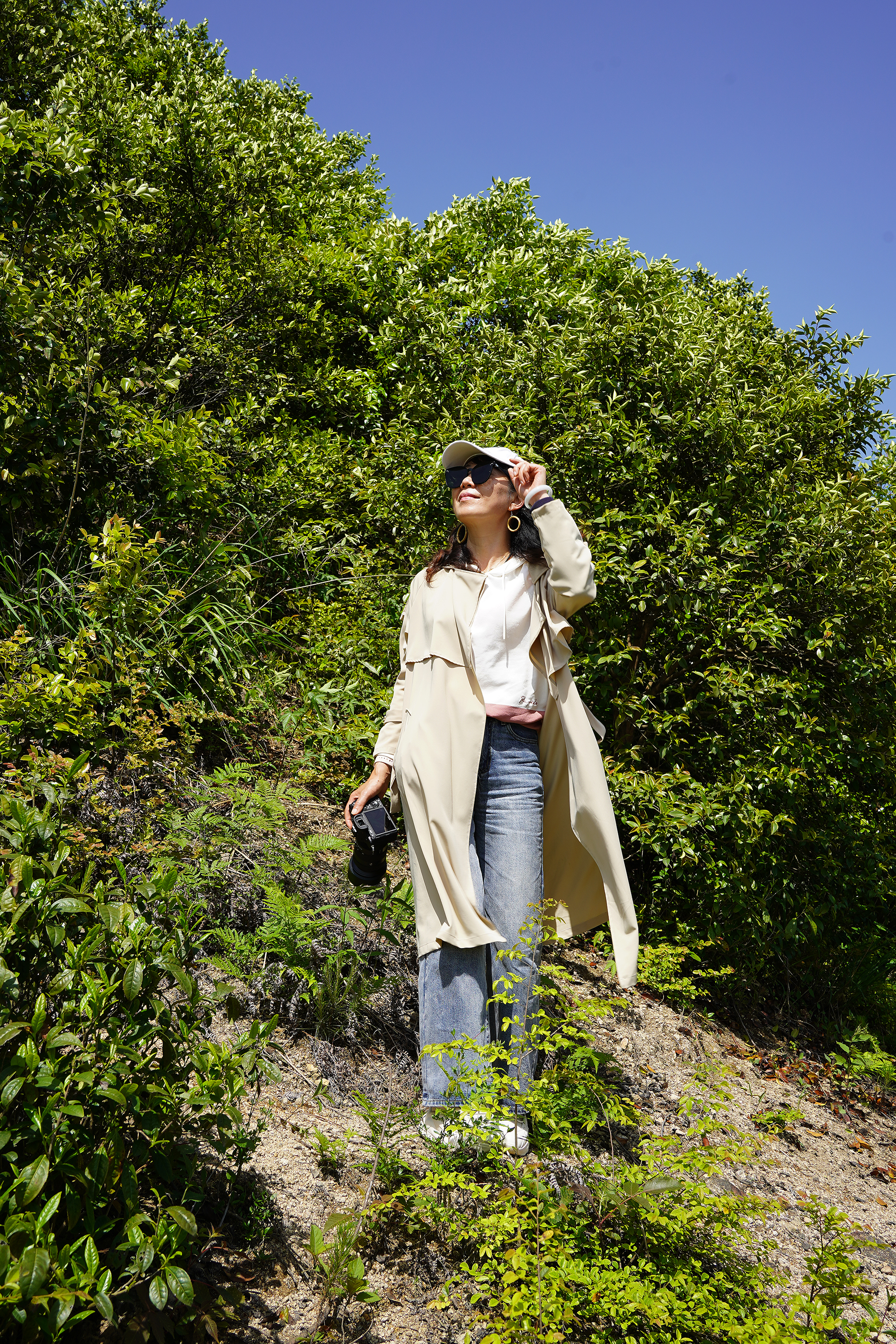 景德镇茶之源瓷之都,景德镇浮梁茶文化