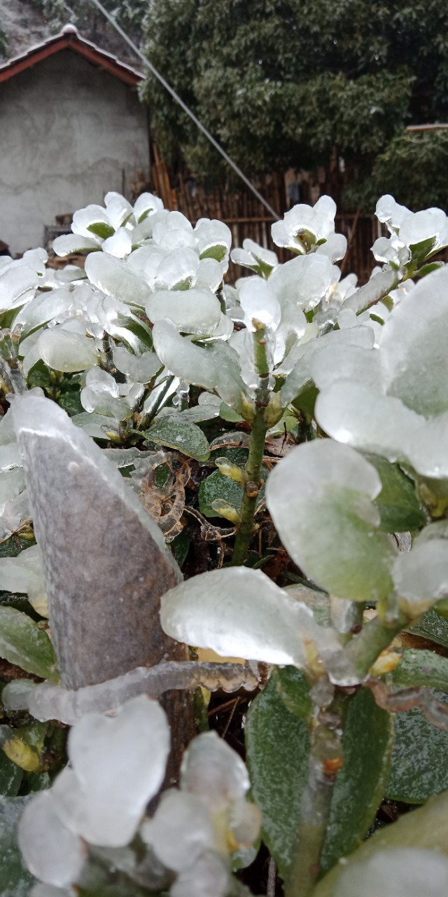 新手养羊八大禁忌,新手养羊