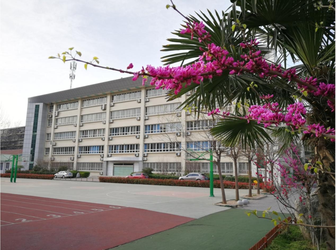 2025年西安有哪些要新开的初中,西安最新学校情况