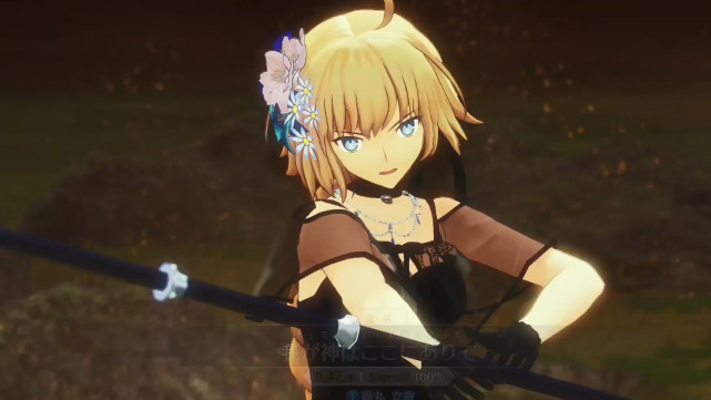 型月贞德在哪一部登场,型月动漫人物