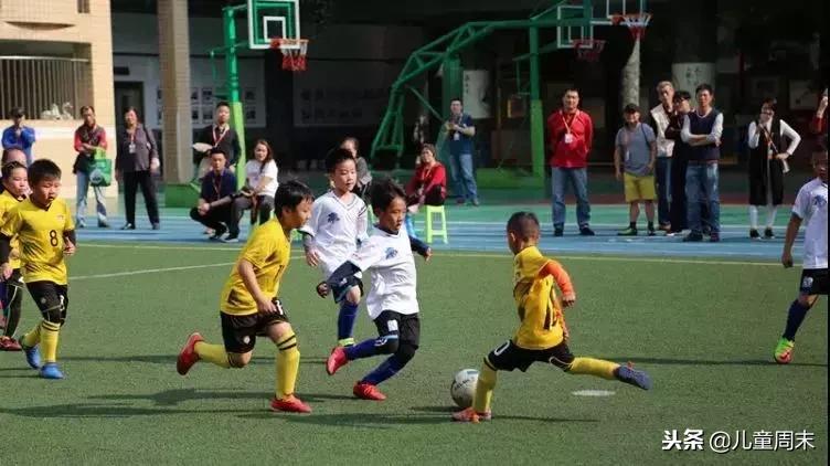 深圳贵族豪门学校,深圳顶级富人区学校