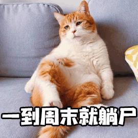 猫咪的小喷嚏可能存在大问题,铲屎关门千万不要掉以轻心