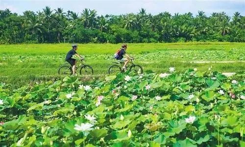 让你无法抗拒的海鲜餐厅,不一样的海南让你震惊