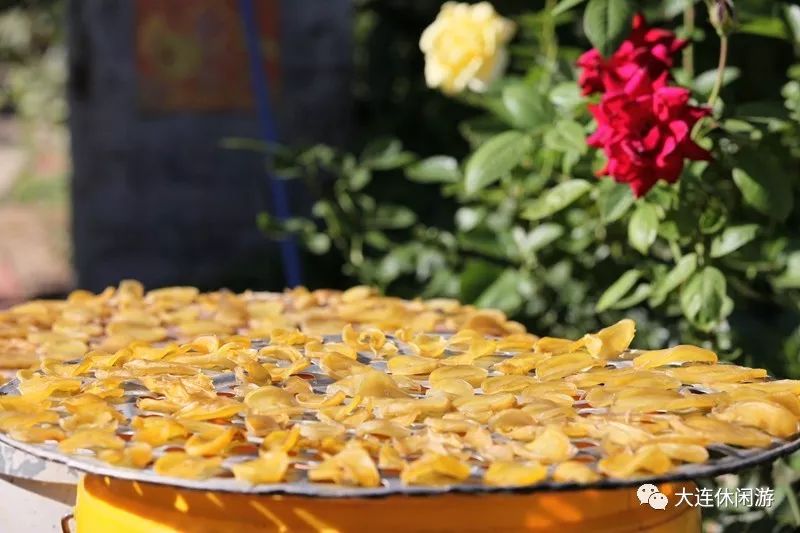大连九月旅游攻略大全,大连11月旅游的最佳地方