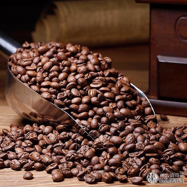 如何点星巴克比较划算,星巴克新手怎么点便宜又好喝