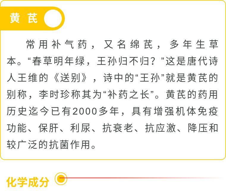 每日一药远志,每日一药肉苁蓉