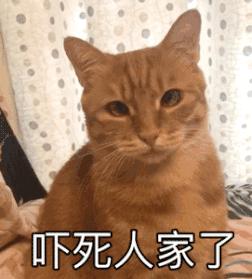 这5类人不能打疫苗,第一次打耳洞千万别踩雷