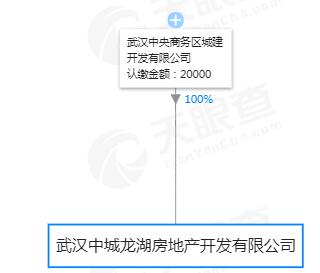 必将开创光谷的先河！极端位置！户型令人惊掉大牙！