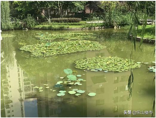 乐山住宅景观,乐山小区景观造雾