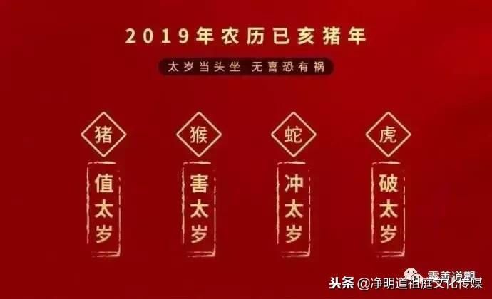 2019年己亥年太岁,猪年本命年怎么化解犯太岁