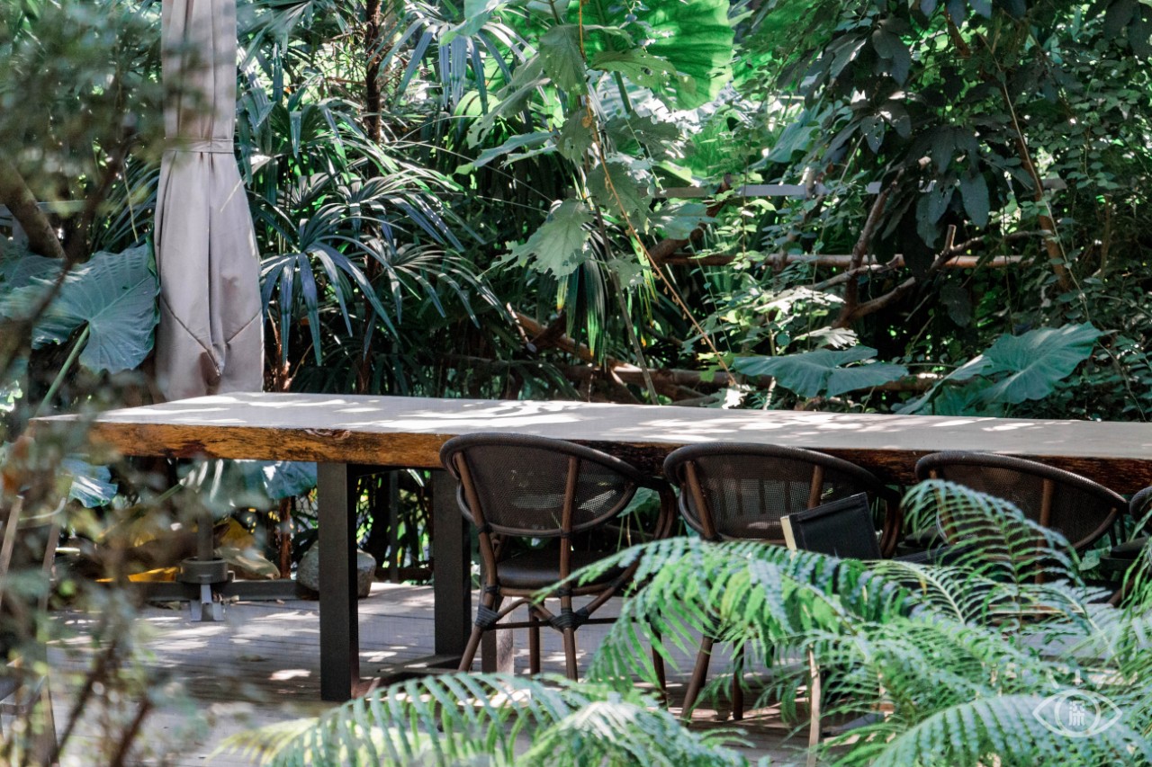 深圳十大顶级公园,深圳市十大风景公园排名