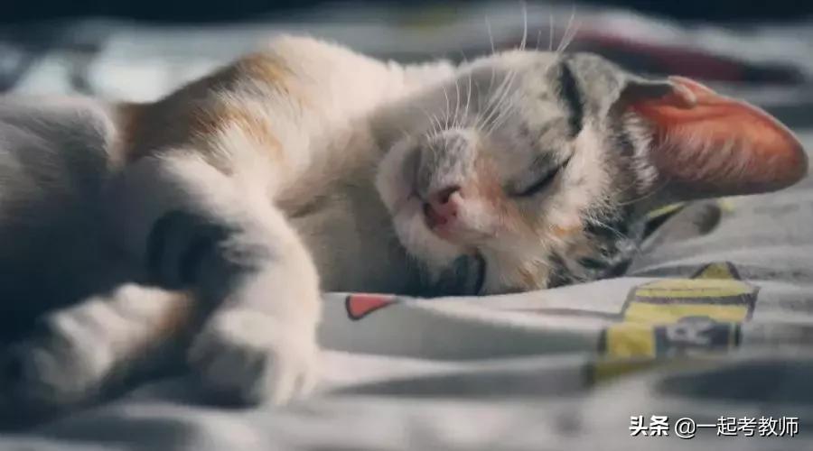 分分分儿,老师的命根儿