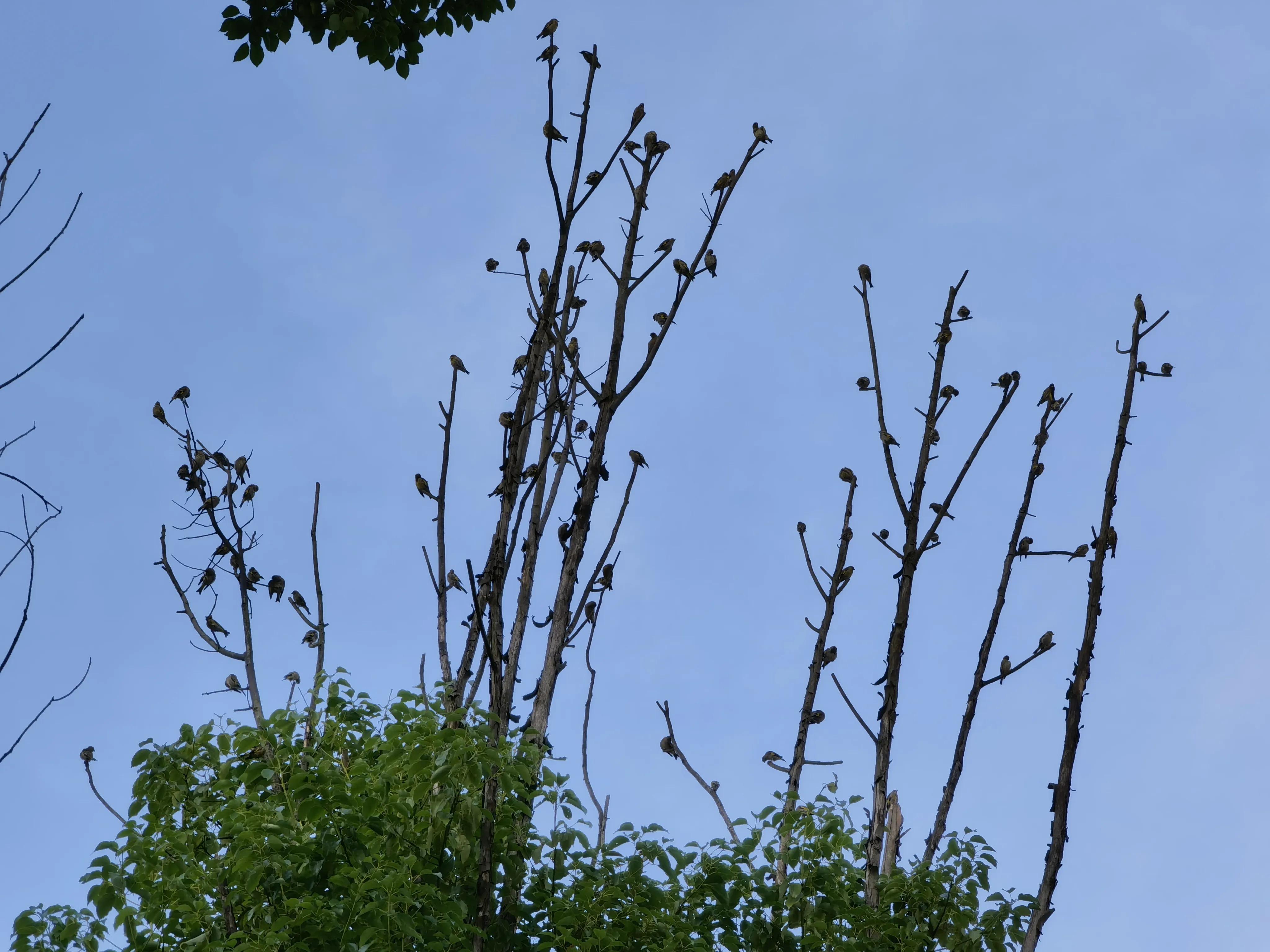 华为mate40pro属于旗舰还是高端,专家评价华为mate40pro怎么样