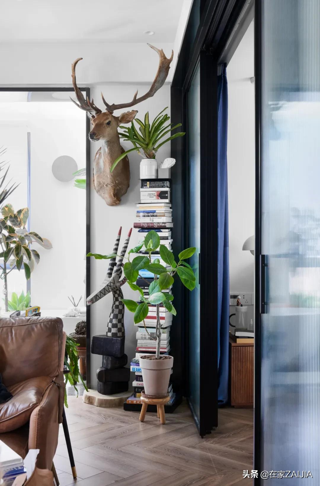 绿植达人爆改70㎡顶层公寓，没有院子却满屋都是花园