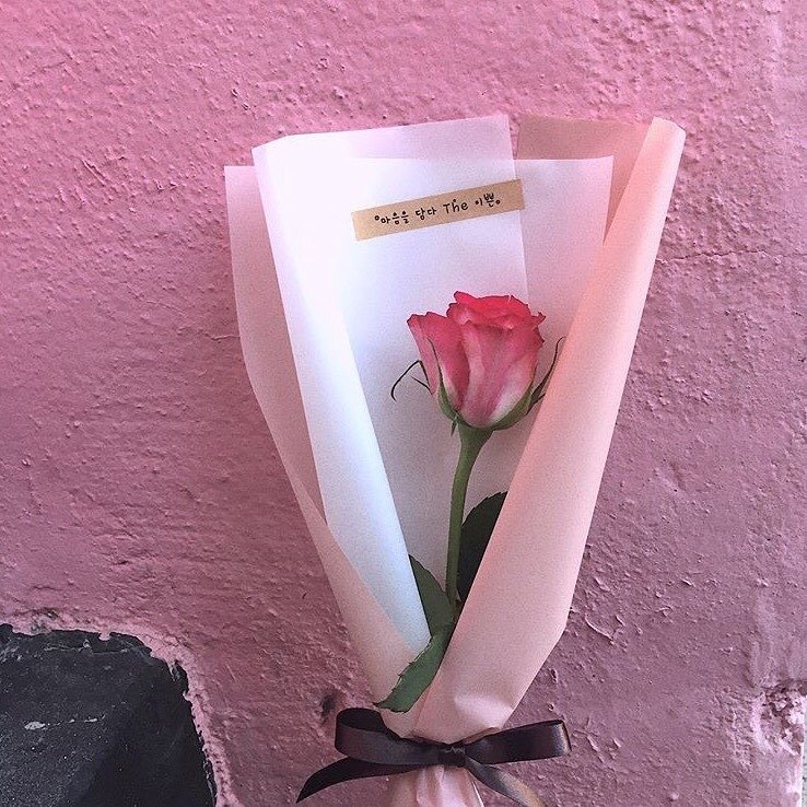 天然凤仙花粉染发剂,指甲花粉染发剂