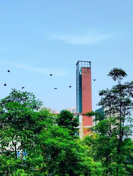 重庆两江巴蜀属于巴蜀中学吗,巴蜀小学和巴蜀中学