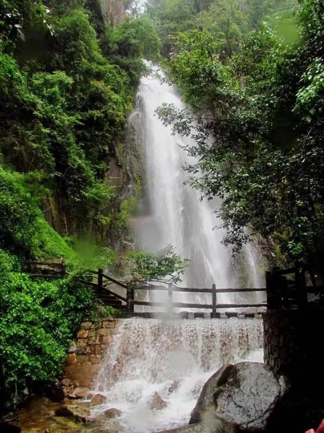 相约游广西,南国仙山姑婆山门票