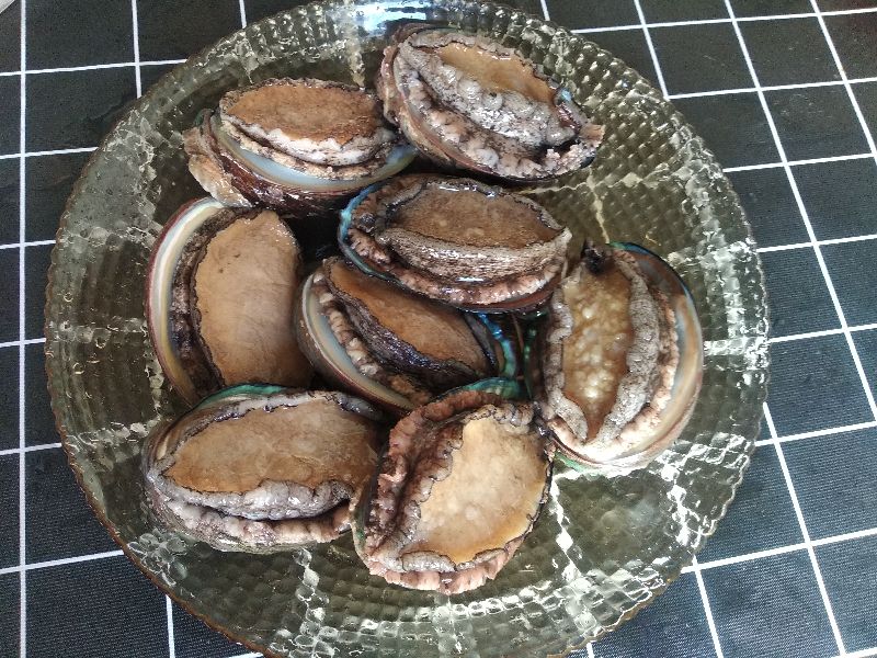 过年买海鲜买哪里的,海鲜市场什么东西可以养