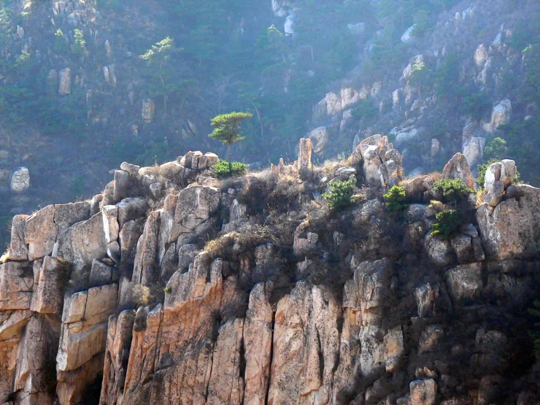 溯乡源、忆乡景、述乡俗，带你走进不一样的家乡秦皇岛