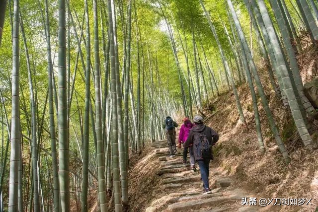歙旌古道徒步回起点,上海徽杭古道徒步攻略