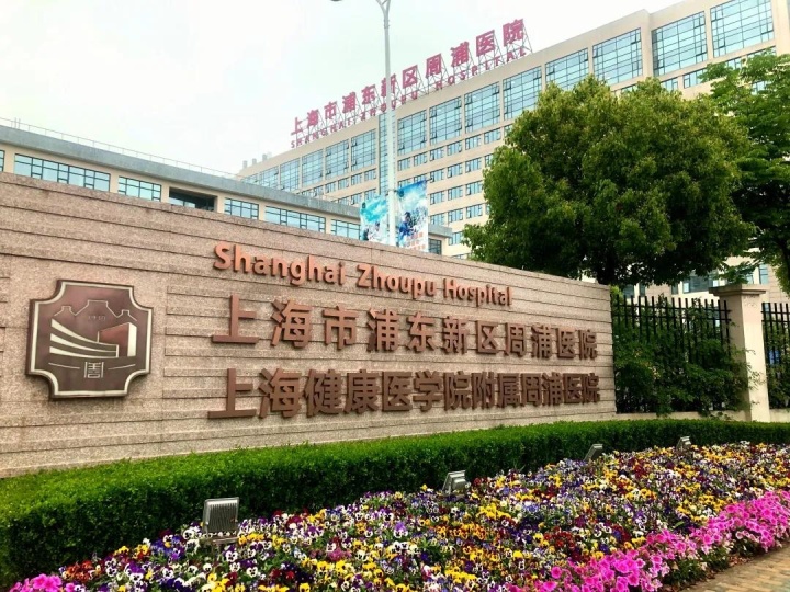 上海周浦小上海新城怎么样,周浦小上海怎么走