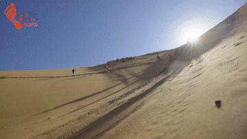 沙漠新手训练营,沙漠早期教育亲子课程