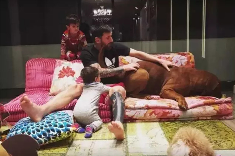 “世界足球先生”梅西,连房子的设计都体现着对足球的深沉热爱。