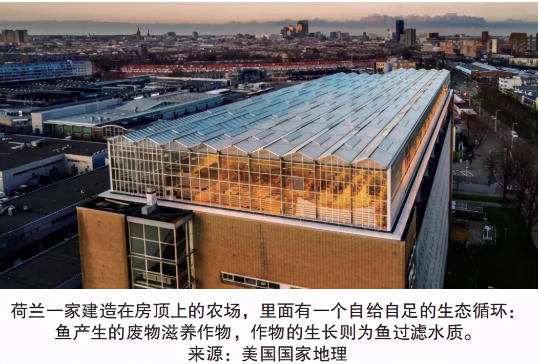 荷兰为什么不多生产光刻机,荷兰垄断光刻机多少年