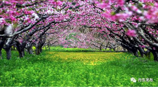 丹东旅游攻略景点必去五一,丹东五一旅游推荐路线攻略