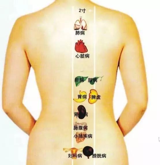 辽宁阜新阳光大姐,阜新阳光大姐照片