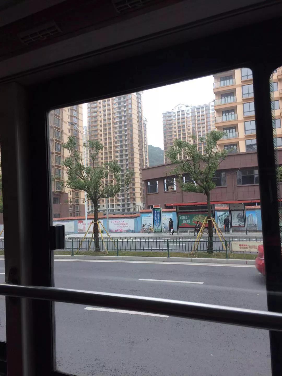 谈谈家乡生态环境,家乡的生态变化作文