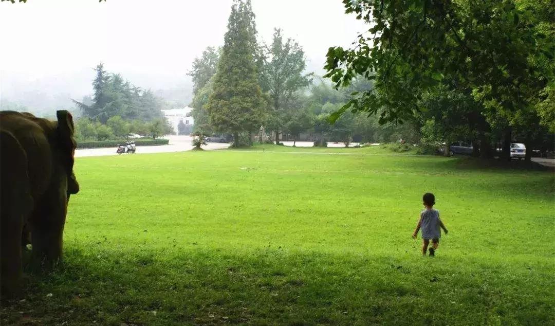 双流竟藏着如此绝美的“秘密公园”，约吗？