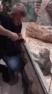 搞笑版的小萝莉,搞笑小萝莉图片