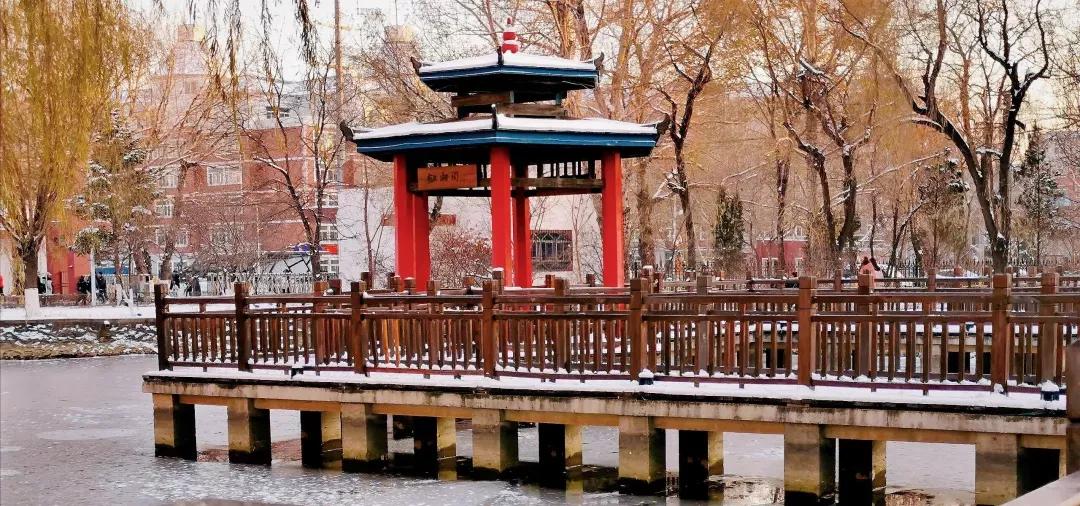 沈阳化工大学辽宁省排名,沈阳化工大学2020招生计划辽宁省