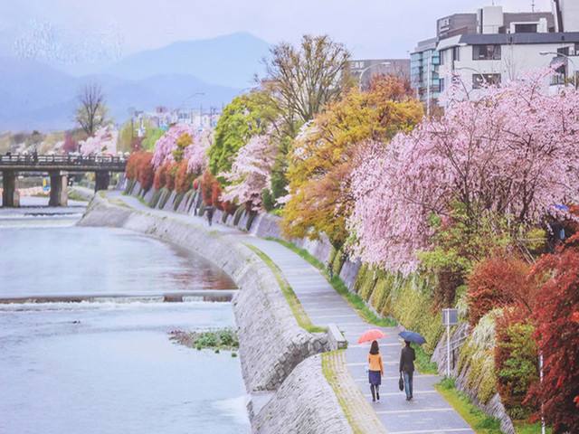 日本最悠久的大学,最早日本学校建在中国哪一年