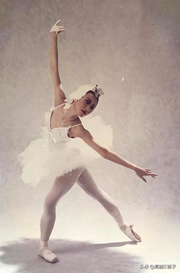 璞棬鍐嶈捣椋庝簯,棣欐腐璞棬涓変唬鍚嶅獩