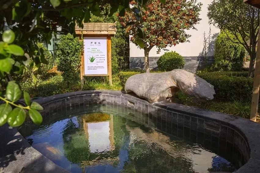 回归大自然享受田园,回归大自然享受大自然的馈赠