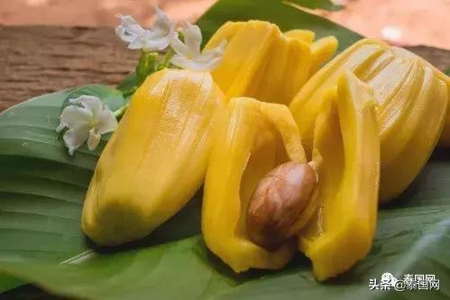 这种“贫民水果”，竟让泰国、印度、英国爆发了一场“键盘战”