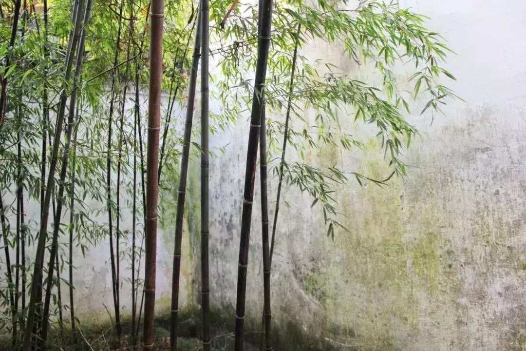 10首关于夏天的诗词,100首关于夏天的唯美古诗词