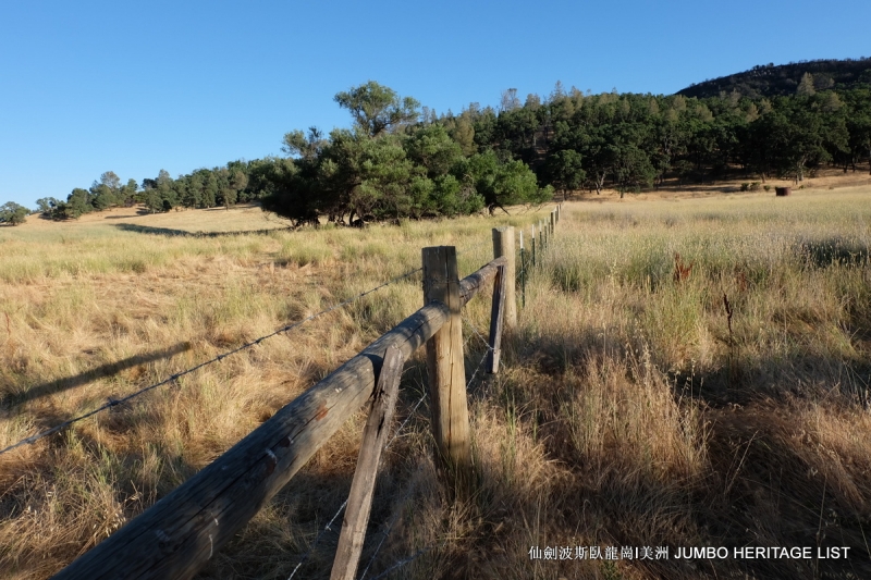 第3034回：无风雨不知花可惜，无患难不知人可谋