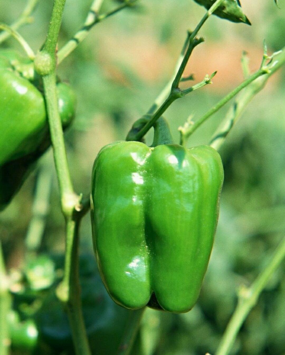 实用的冷知识大全建议收藏哦,十个超有用的冷知识大全