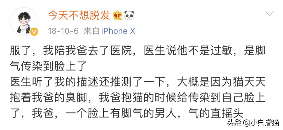 不要随便亲猫的后果,强行亲猫