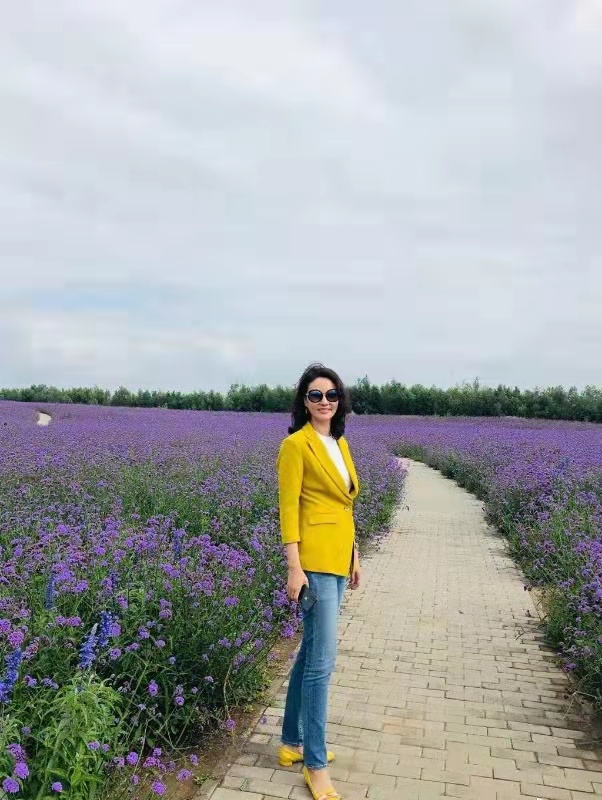 央视刘芳菲身材,央视美女刘芳菲照片图文